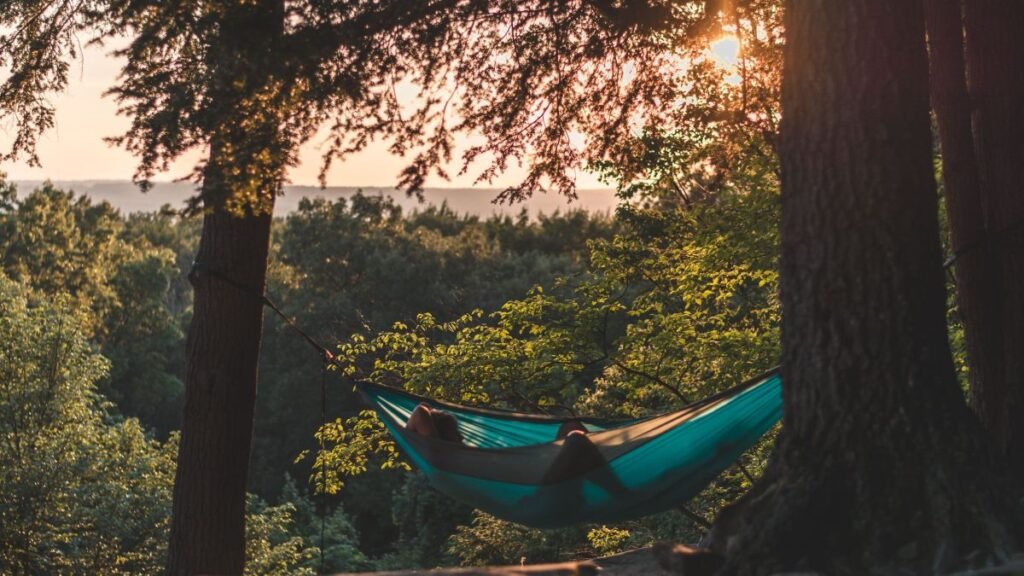 A person lying peacefully in a hammock between trees at daytime