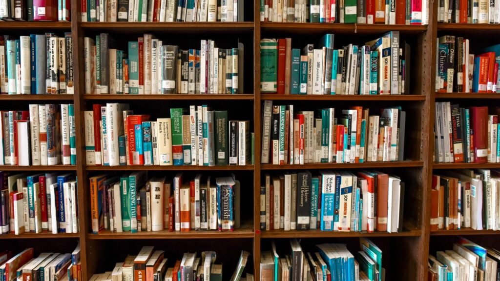 Vibrant library scene with wooden bookshelves filled with books