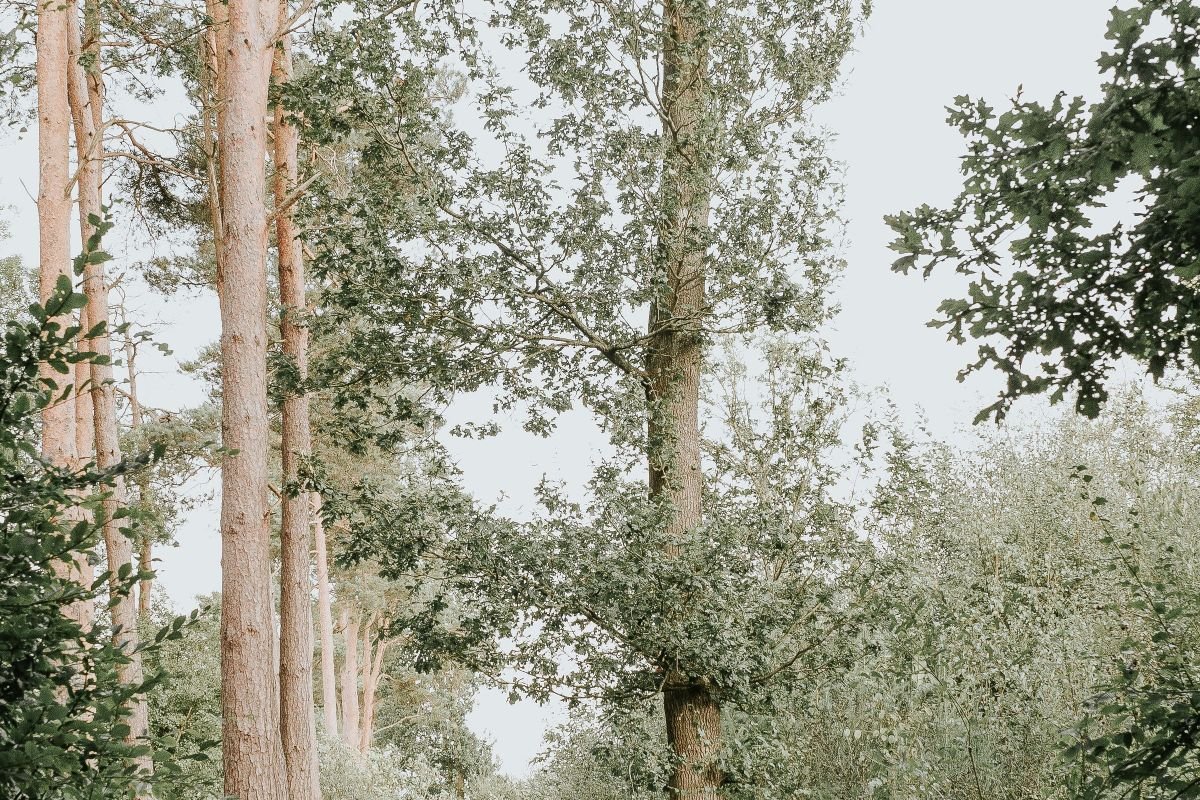 Woman walking joyfully down a serene forest pathway, practicing walking meditation