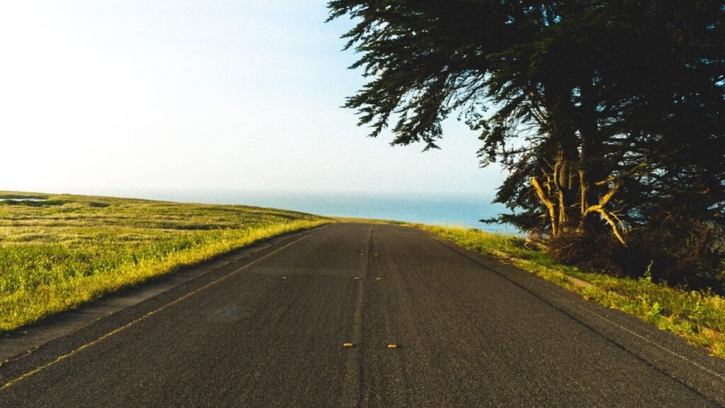 A serene asphalt road stretching into the horizon with a solitary tree